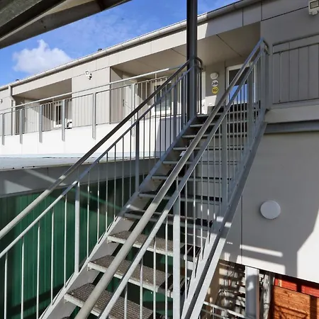 Seestern B Schönhagen