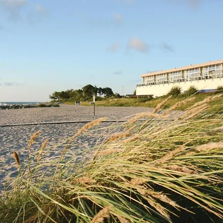 Seestern B Schönhagen