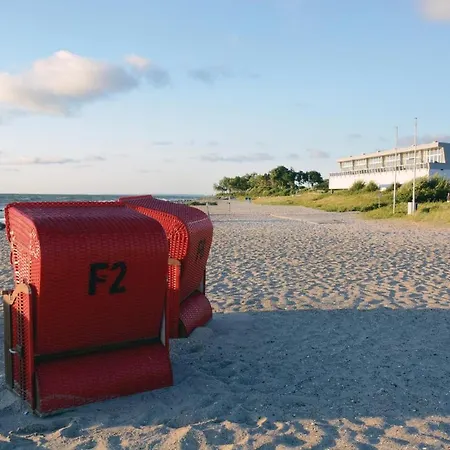 Seestern B Schönhagen