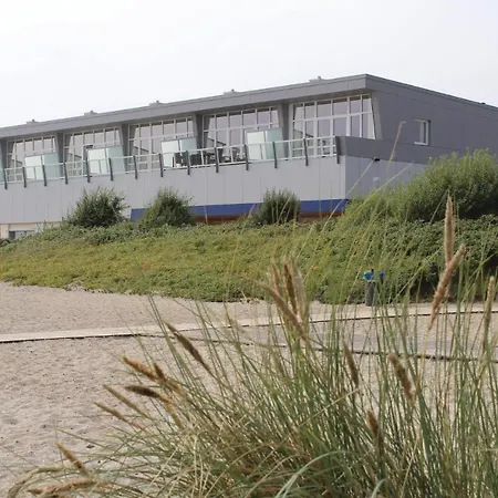 Seestern B Schonhagen (Schleswig-Holstein)
