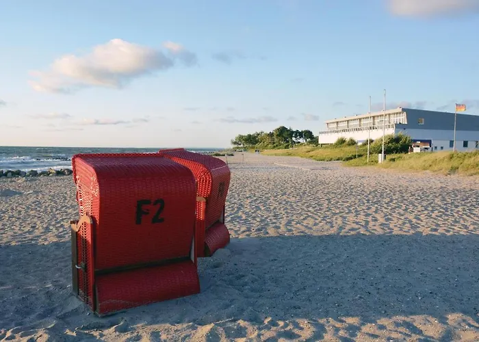 Seestern B Schönhagen